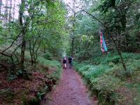  Wanderroute ber den Rydalsvej - Weg 