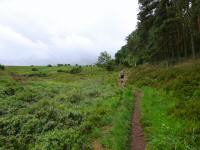 Blick auf die Wanderstrecke - der Anstieg auf die Bakker/Hills 