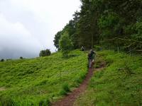 Blick auf die Wanderstrecke - der Anstieg auf die Bakker/Hills 