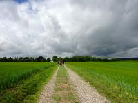  Blick auf die Wanderstrecke 