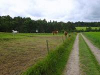  Blick auf die Wanderstrecke in der Region Granstien 