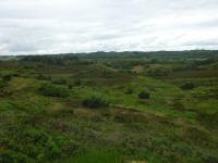  Blick auf die schne Heidelandschaft der Bakker 