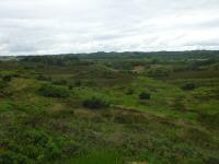  Blick auf die schne Heidelandschaft der Bakker 