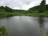  Blick auf den idyllischen Teich 