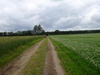  Wanderroute ber den Over -Viskumvej - Weg 