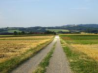  Blick auf die eintnige Wanderstrecke 