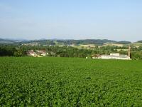  Fernblick nach Rennersdorf 