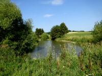  Blick zu einem kleinen Weiher 