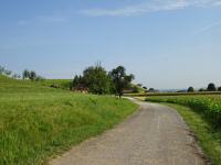 Wanderroute nach Baumgarten 