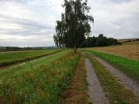  Wanderroute entlang der Perschling 