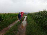 Wanderroute durch die Riede Lanzenfeld nach Unterau 