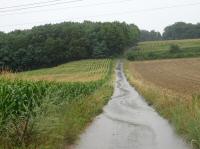  Wanderroute durch die Riede Weikirchfeld 