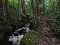  Impressionen der Ysperklamm 