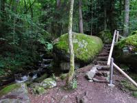  Impressionen der Ysperklamm 