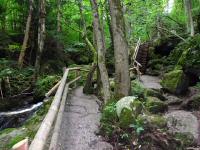  Impressionen der Ysperklamm 