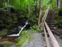  Impressionen der Ysperklamm 