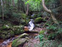  Impressionen der Ysperklamm 