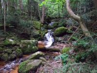  Impressionen der Ysperklamm 