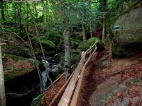  Impressionen der Ysperklamm 