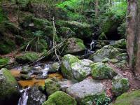  Impressionen der Ysperklamm 