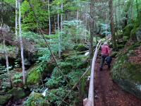  Impressionen der Ysperklamm 