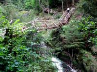  Impressionen der Ysperklamm 