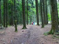  Wanderroute durch den Weinsberger Wald 