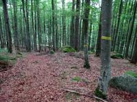  Wanderroute durch den Weinsberger Wald 