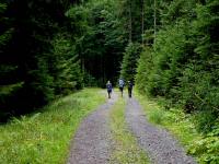  Wanderroute durch den Weinsberger Wald 