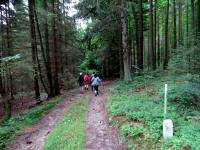  Wanderroute durch den Weinsberger Wald 
