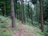  Blick auf die Wanderstrecke 