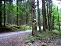  Wanderroute zum Oedhof 