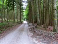  Wanderroute zum Oedhof 