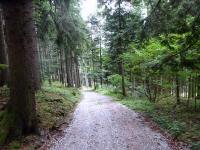  Wanderroute ins Tal nach Ried 