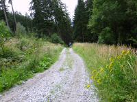  Wanderroute ins Tal nach Ried 