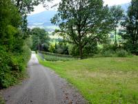  Blick auf die Wanderstrecke bei Ried 