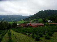  Fernblick ber den Weiler Ried zum Kaltenberg 