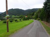  Blick auf die Wanderstrecke beim Weiler Ried 