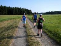  Blick auf die Wanderstrecke 