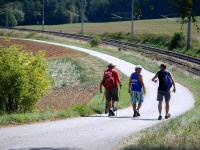  Wanderroute am Aumhlenweg nach Willings 