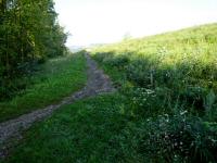  Blick auf die Wanderstrecke beim Treppelweg 