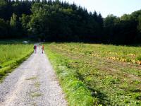  Blick auf die Wanderstrecke 