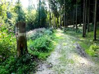  Blick auf die Wanderstrecke 