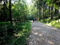  Blick auf die Wanderstrecke 