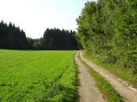  Blick auf die Wanderstrecke 