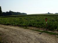  Fernblick nach Richtung Holzern 