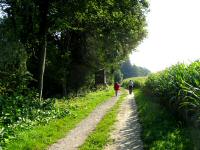  Wanderroute nach Holzern 