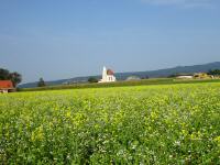  der Fernblick zurck zur Nikolauskirche Holzern 