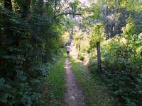  Wanderroute entlang der Erlauf 
