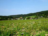  Fernblick nach Wolfring 